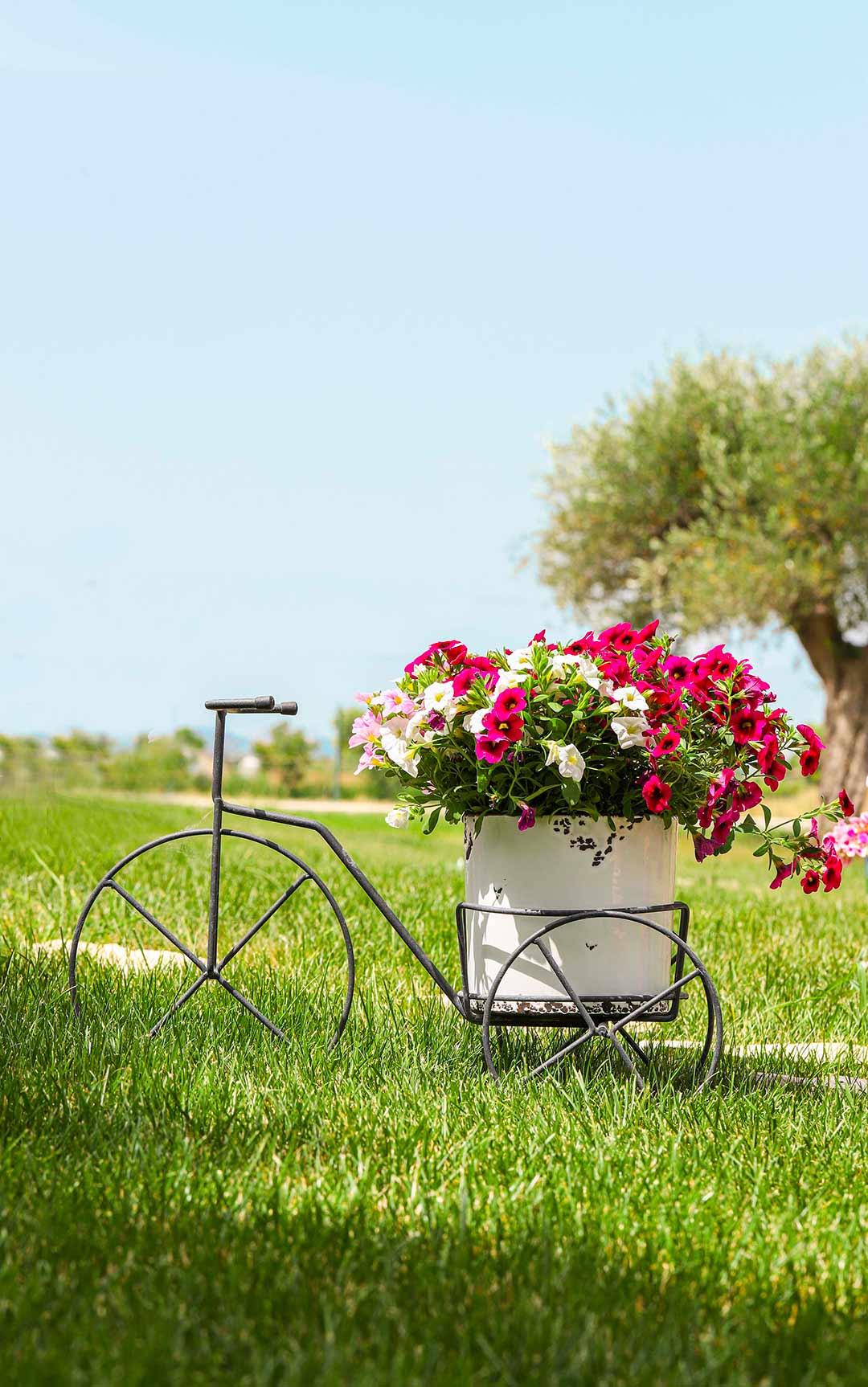 bicicletta con fiori