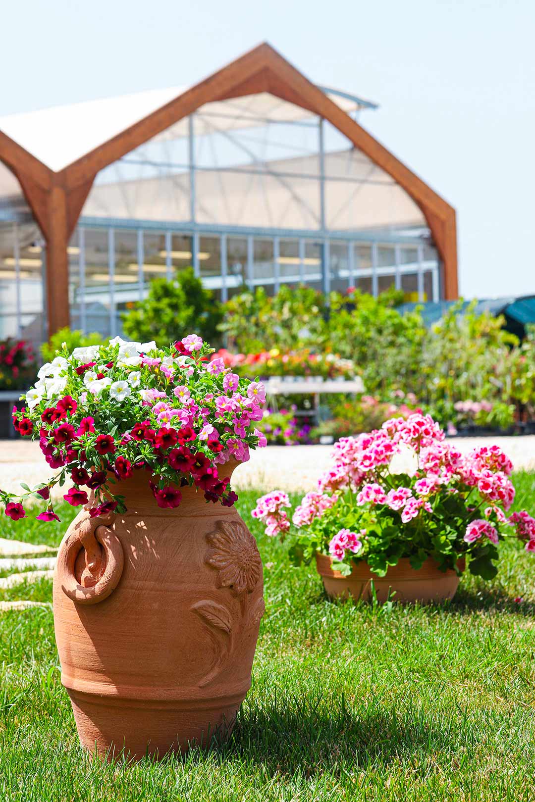 vasi con fiori