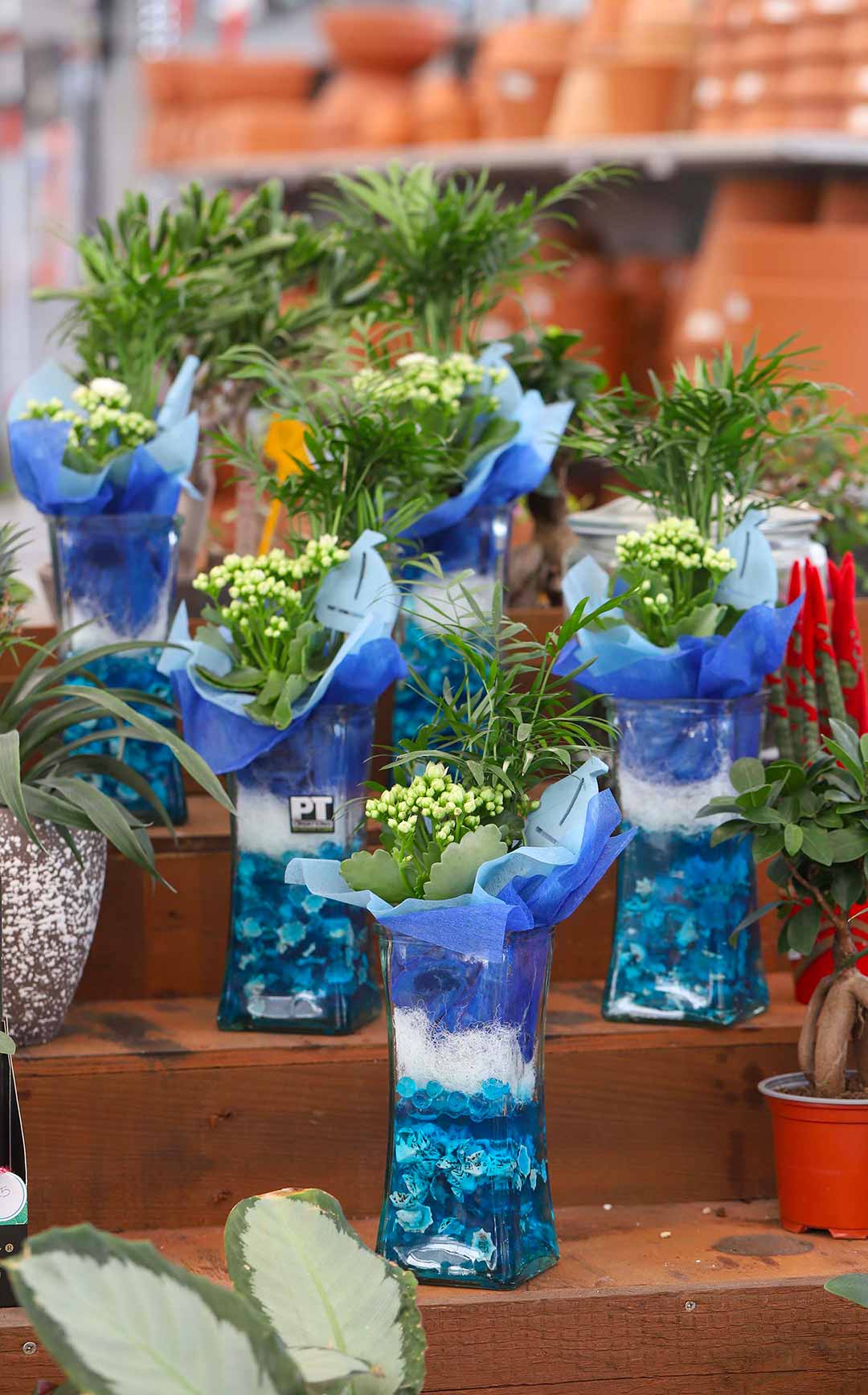 vasi di fiori