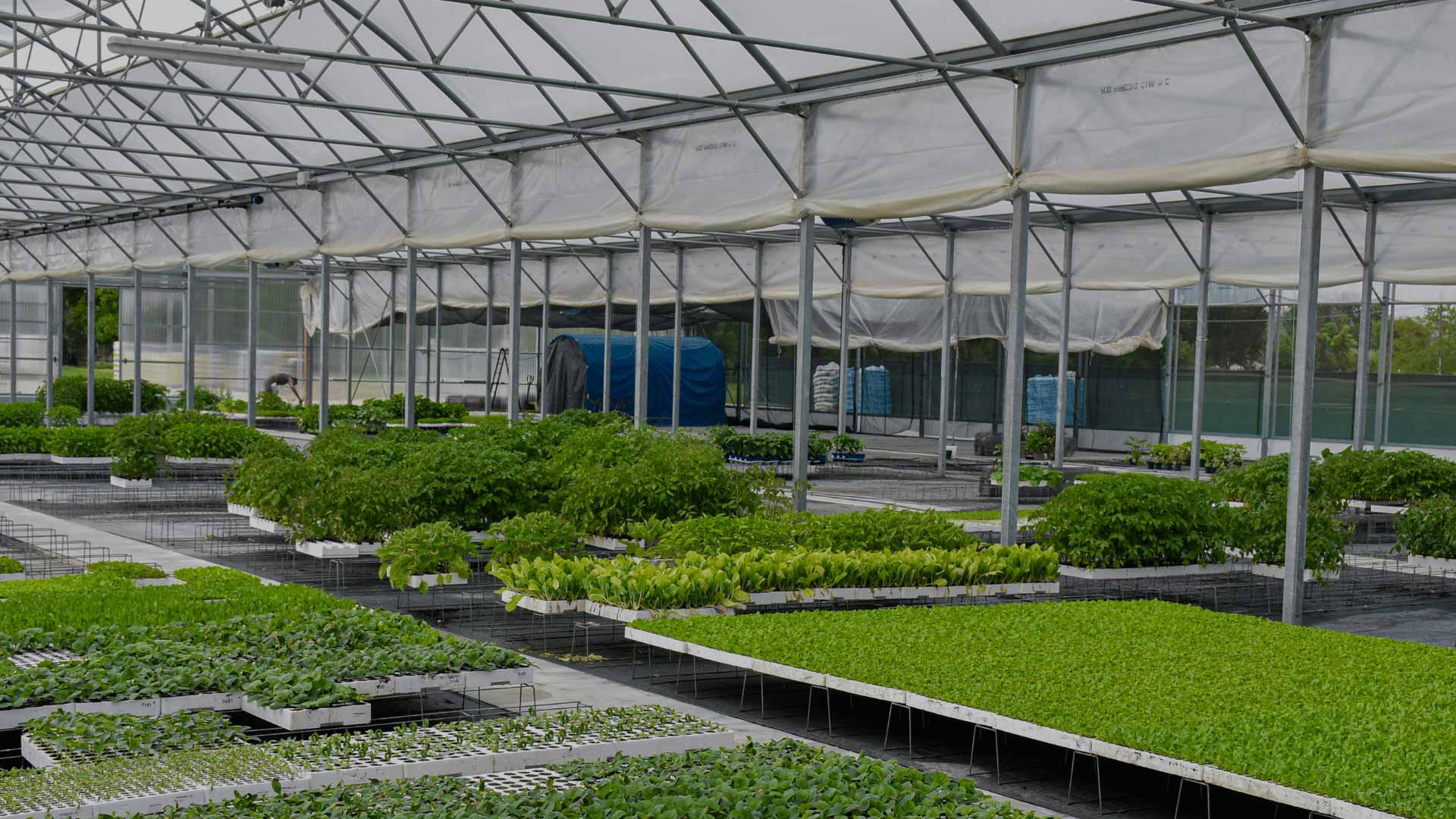 GARDEN E VIVAI