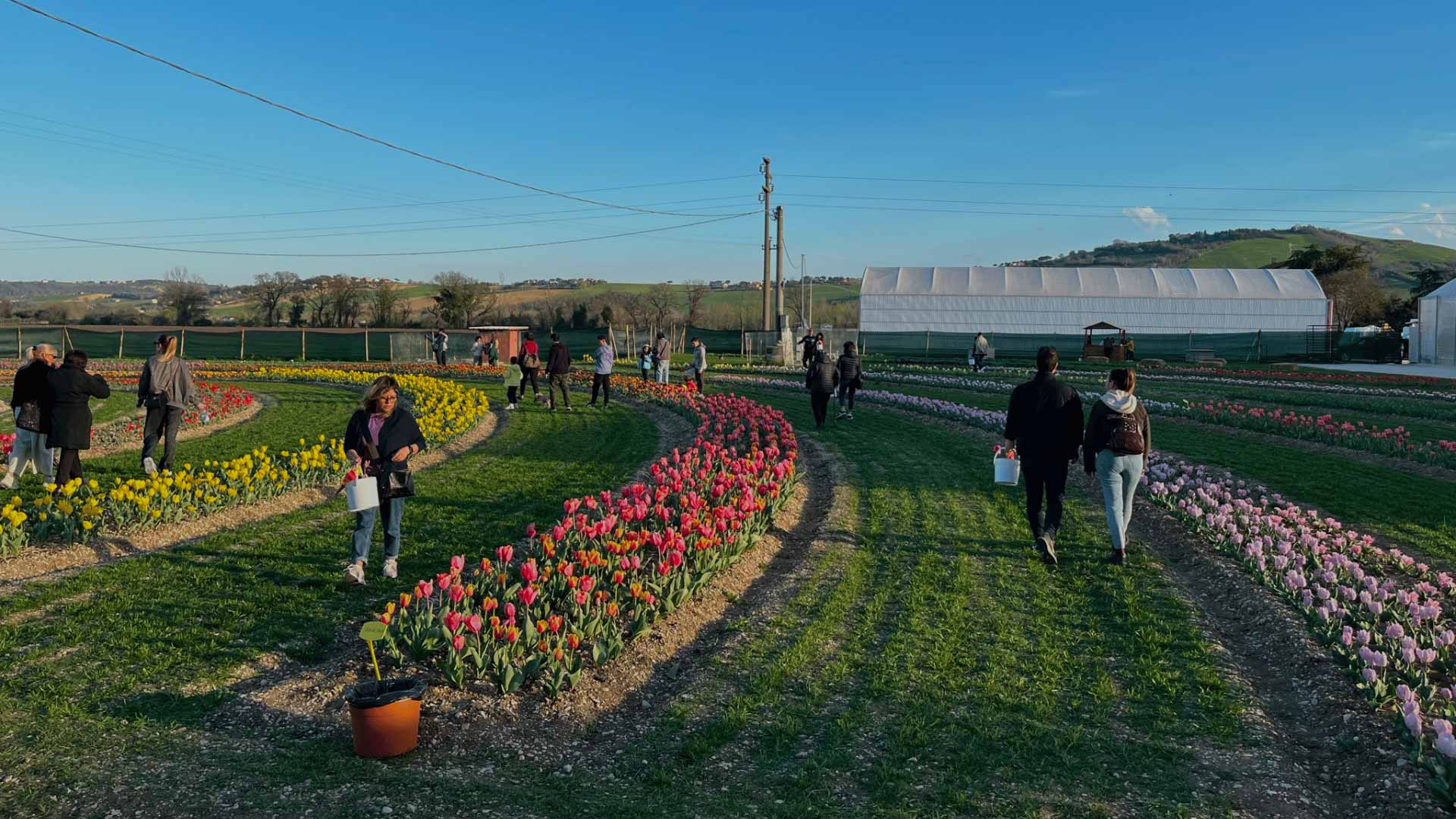 GIARDINO DEI TULIPANI