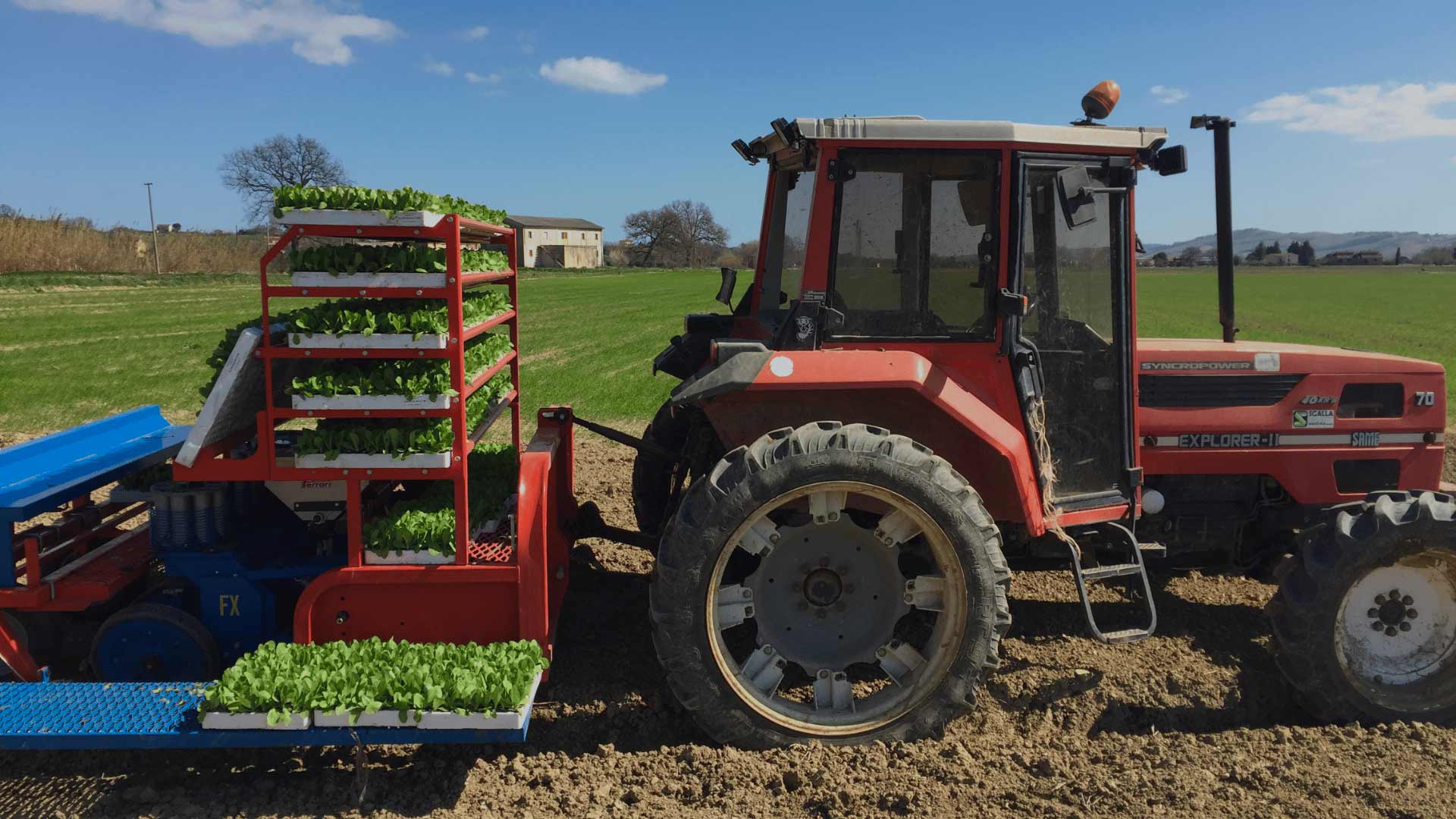PRODUZIONI DI PIENO CAMPO